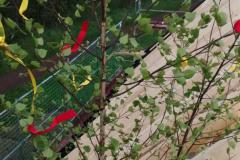 PHOTO-2021-05-16-08-37-06