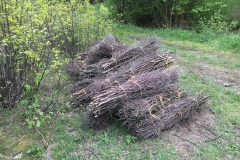 Schanzen zum Einheizen im Backes